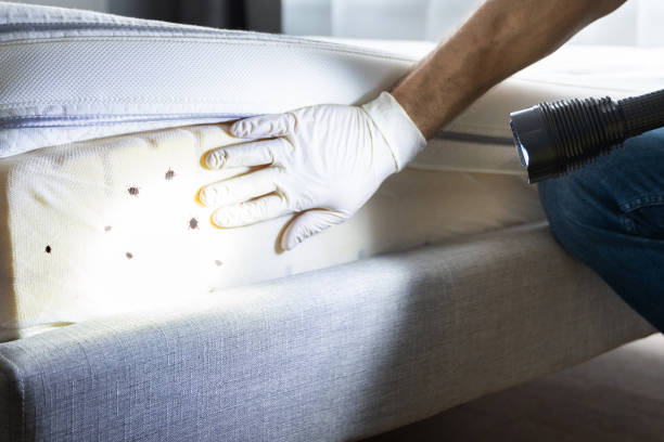 Best Best Pest Control Near Me  in Huachuca City, AZ