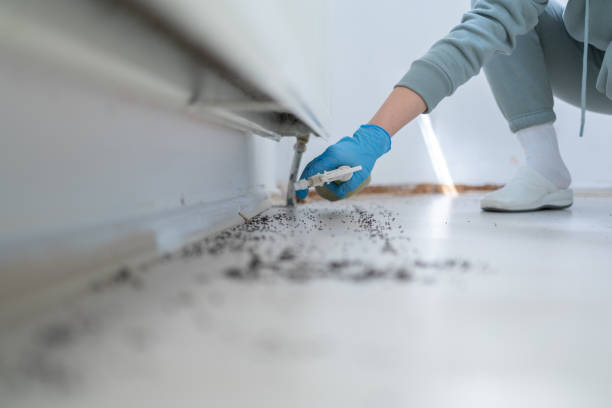 Best Residential Pest Control  in Huachuca City, AZ